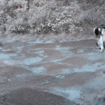 Chi Ma Wan Country Trail