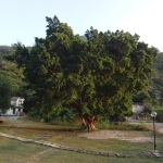 Chi Ma Wan Country Trail