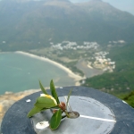 Chi Ma Wan Country Trail