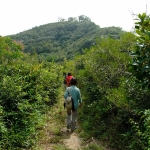 Chi Ma Wan Country Trail