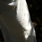 Chi Ma Wan Country Trail