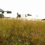 Chi Ma Wan Country Trail