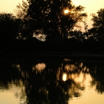 Chi Ma Wan Country Trail