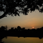 Chi Ma Wan Country Trail