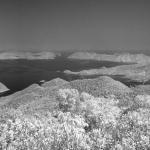 Plover Cove Reservoir