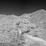 Plover Cove Reservoir