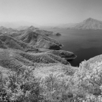 Plover Cove Reservoir