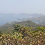 Plover Cove Reservoir