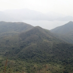 Plover Cove Reservoir