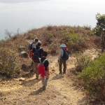 Plover Cove Reservoir