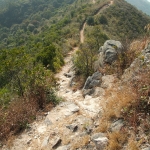Plover Cove Reservoir