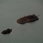 Plover Cove Reservoir