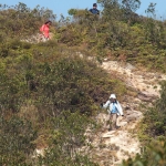 Plover Cove Reservoir