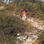 Plover Cove Reservoir