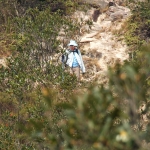 Plover Cove Reservoir