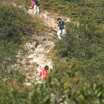 Plover Cove Reservoir
