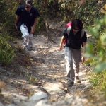 Plover Cove Reservoir