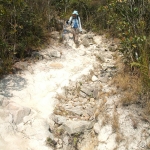 Plover Cove Reservoir