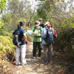 Plover Cove Reservoir
