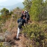Plover Cove Reservoir