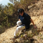 Plover Cove Reservoir