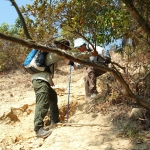 Plover Cove Reservoir