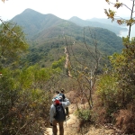 Plover Cove Reservoir