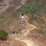 Plover Cove Reservoir