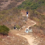 Plover Cove Reservoir