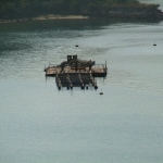 Plover Cove Reservoir