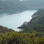 Plover Cove Reservoir