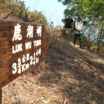 Plover Cove Reservoir