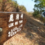 Plover Cove Reservoir