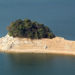 Plover Cove Reservoir