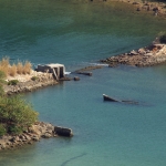 Plover Cove Reservoir