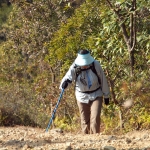 Plover Cove Reservoir