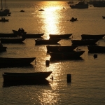 Plover Cove Reservoir