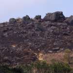 Shek Lung Tsai Stone Bushland
