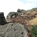 Shek Lung Tsai Stone Bushland