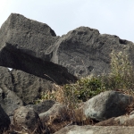 Shek Lung Tsai Stone Bushland