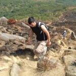Shek Lung Tsai Stone Bushland