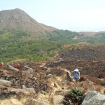 Shek Lung Tsai Stone Bushland