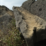 Shek Lung Tsai Stone Bushland