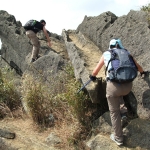 Shek Lung Tsai Stone Bushland