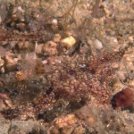Puerto Galera