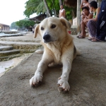 Puerto Galera