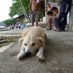 Puerto Galera
