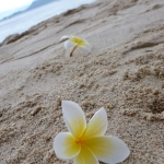 Puerto Galera