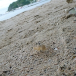 Puerto Galera
