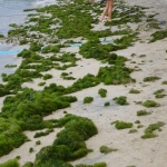 Puerto Galera